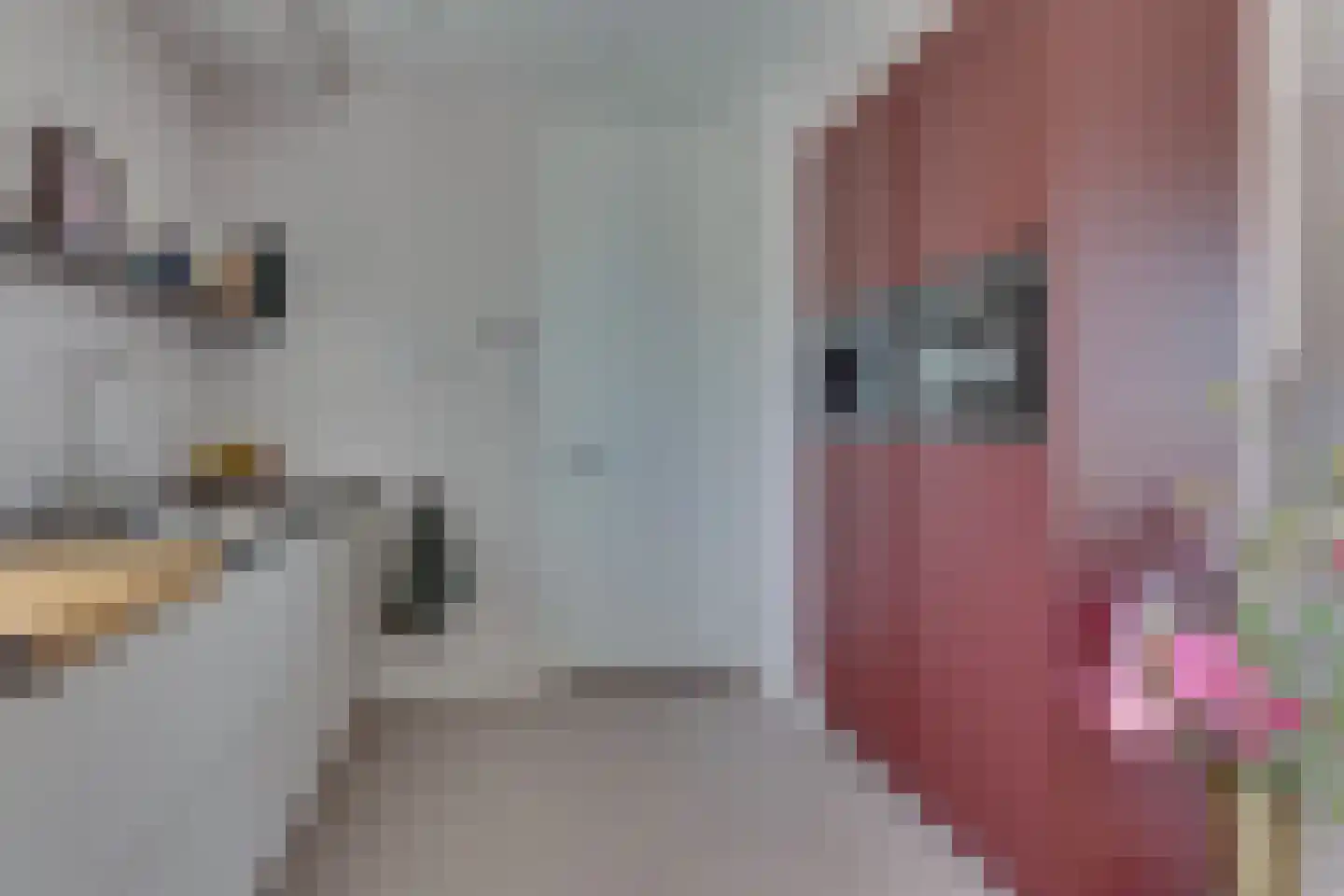 De Brug 16 Emmeloord thumbnail 18
