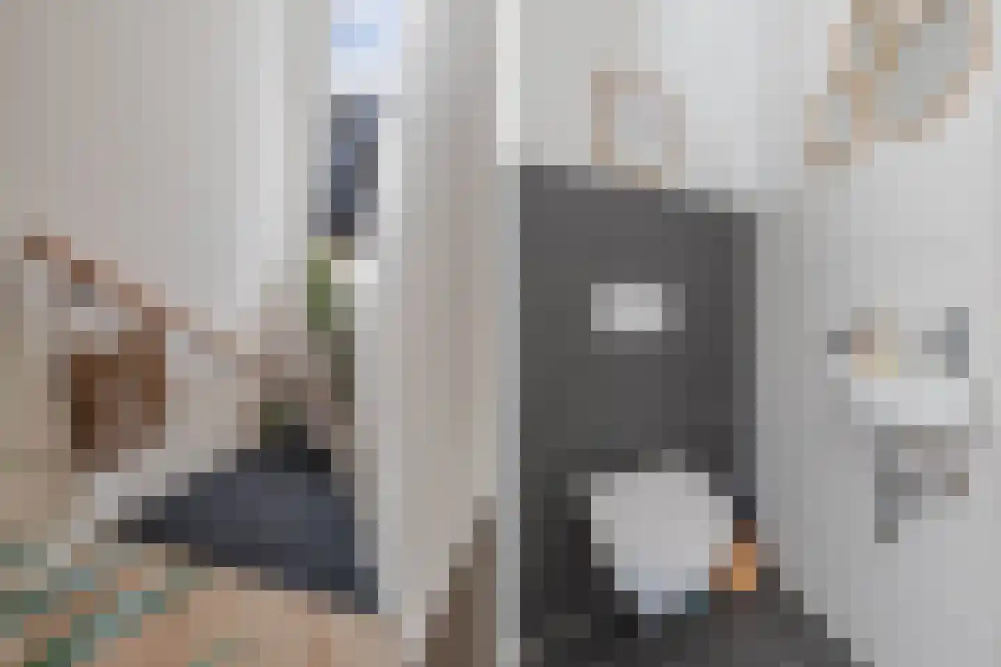De Brug 18 Emmeloord thumbnail 22