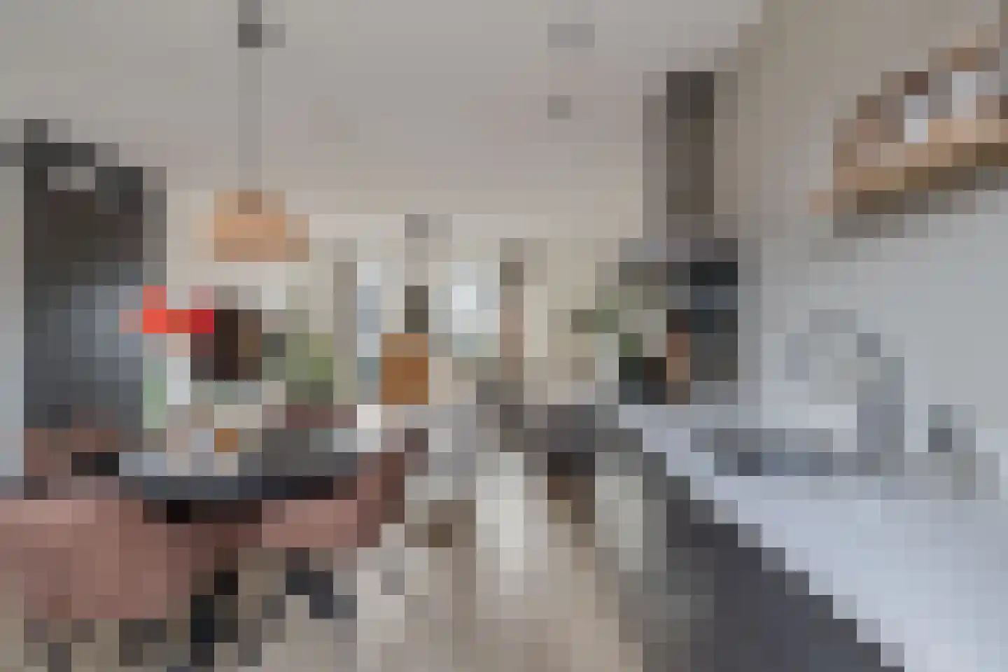 De Brug 18 Emmeloord thumbnail 5