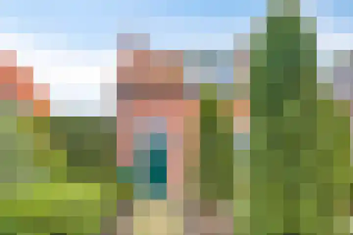 De Brug 18 Zundert thumbnail 11
