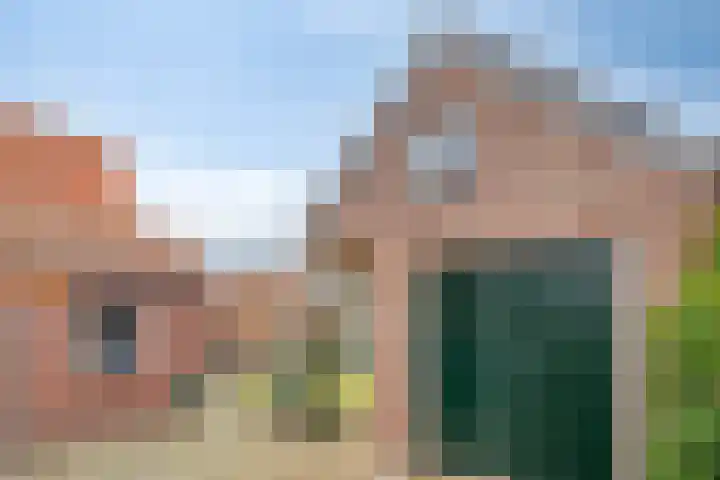 De Brug 18 Zundert thumbnail 40
