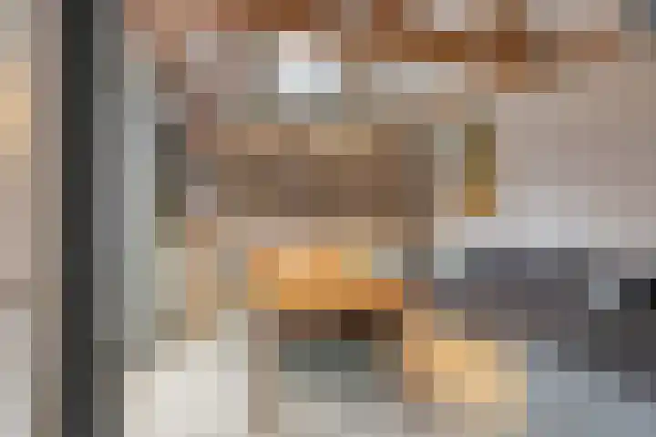 De Brug 18 Zundert thumbnail 41