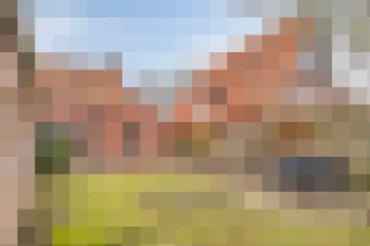 De Brug 18 Zundert thumbnail 45