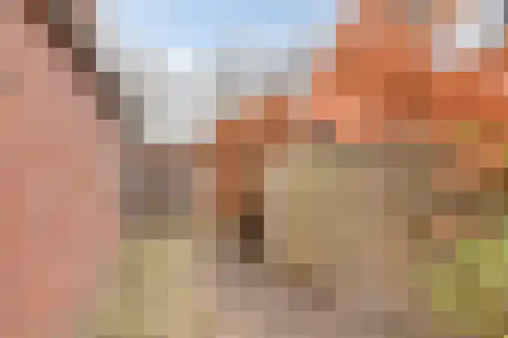 De Brug 18 Zundert thumbnail 47