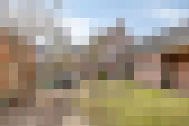 De Brug 18 Zundert thumbnail 48