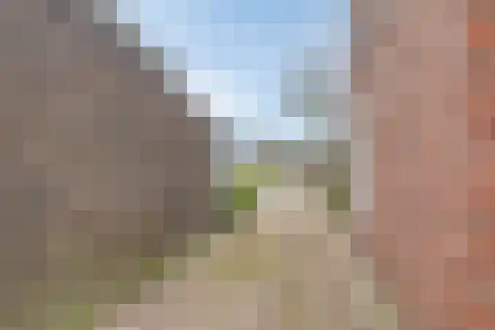 De Brug 18 Zundert thumbnail 9