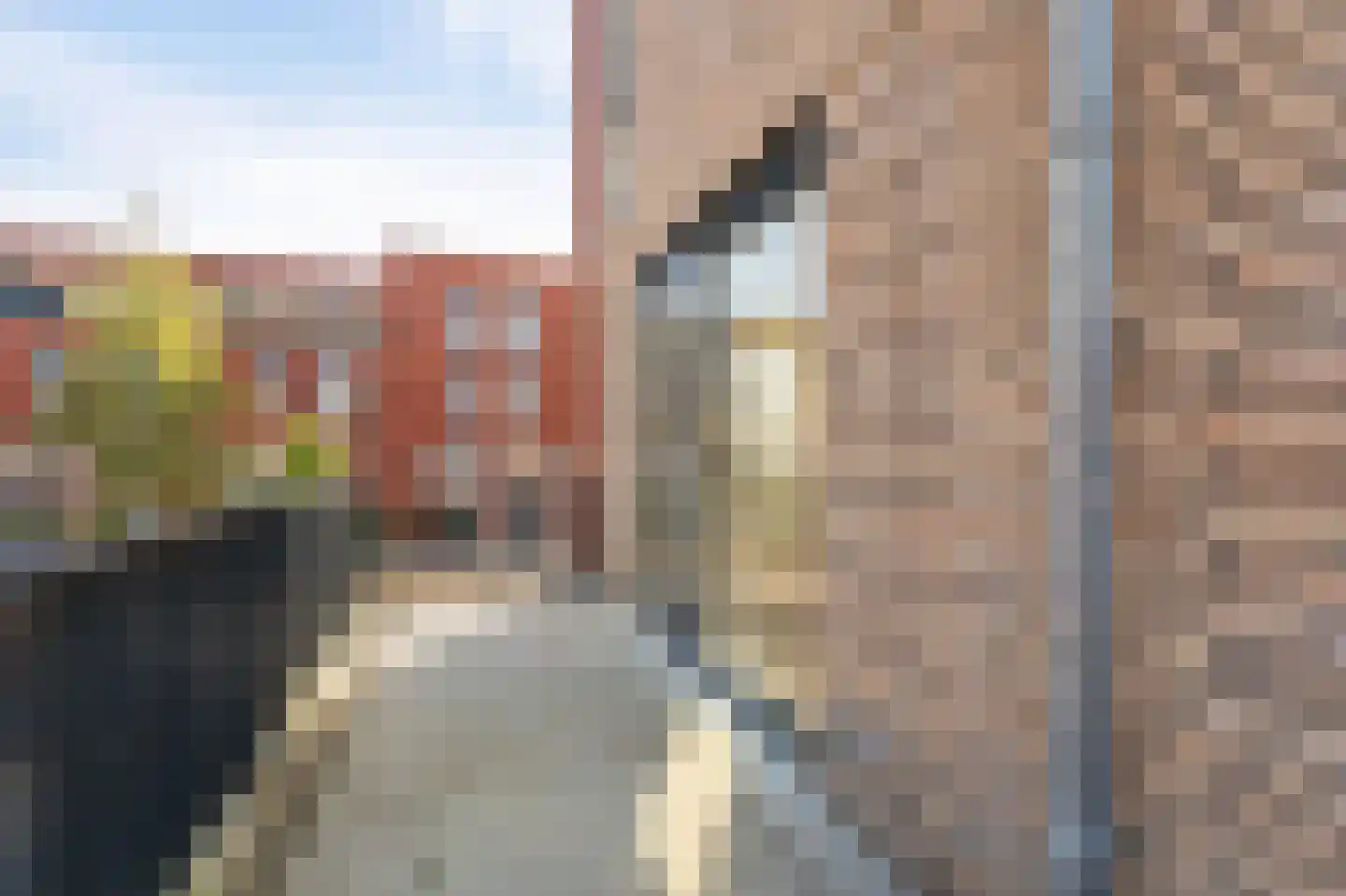De Brug 19 Emmeloord thumbnail 16