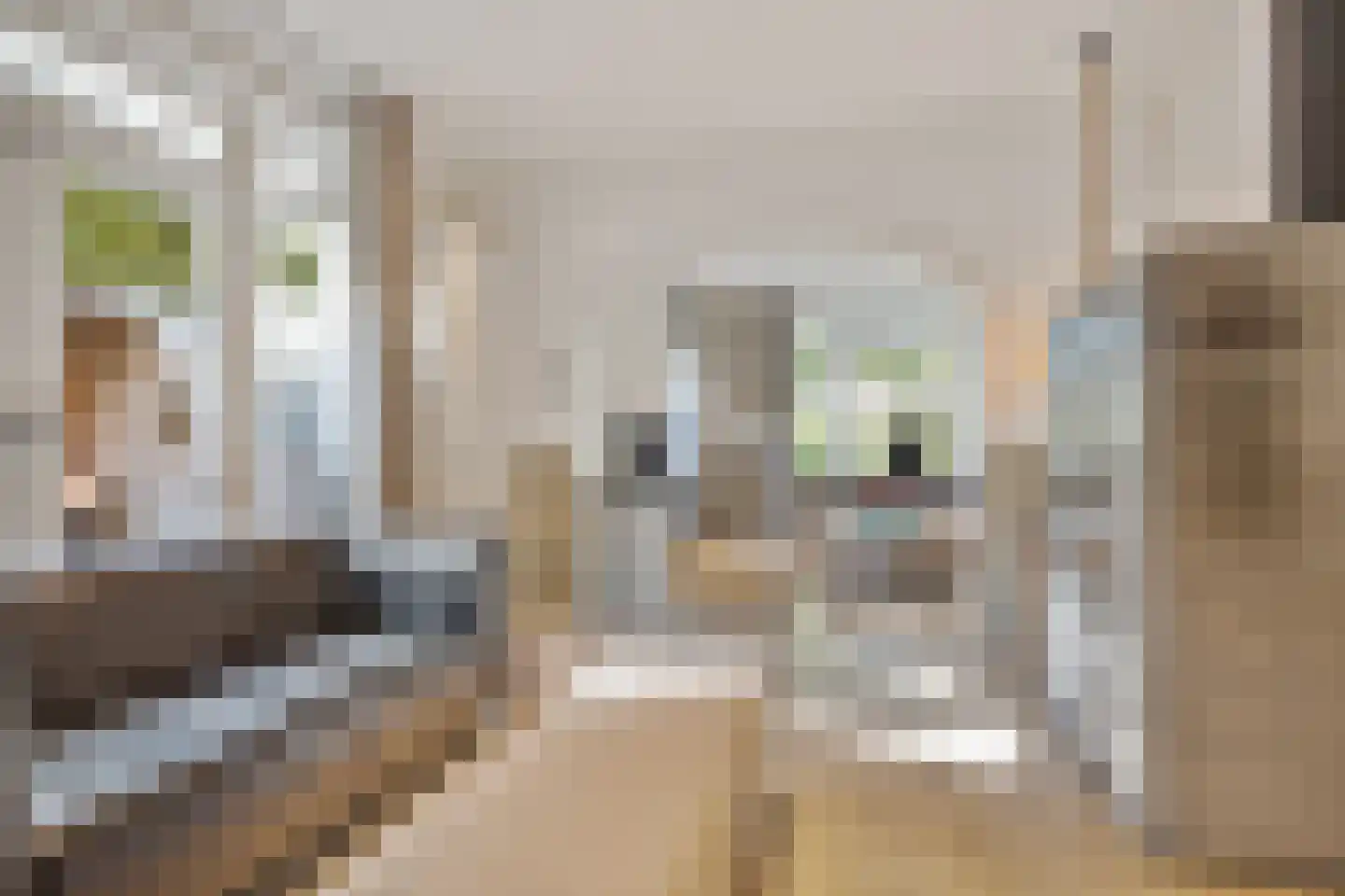 De Brug 20 Zundert thumbnail 13