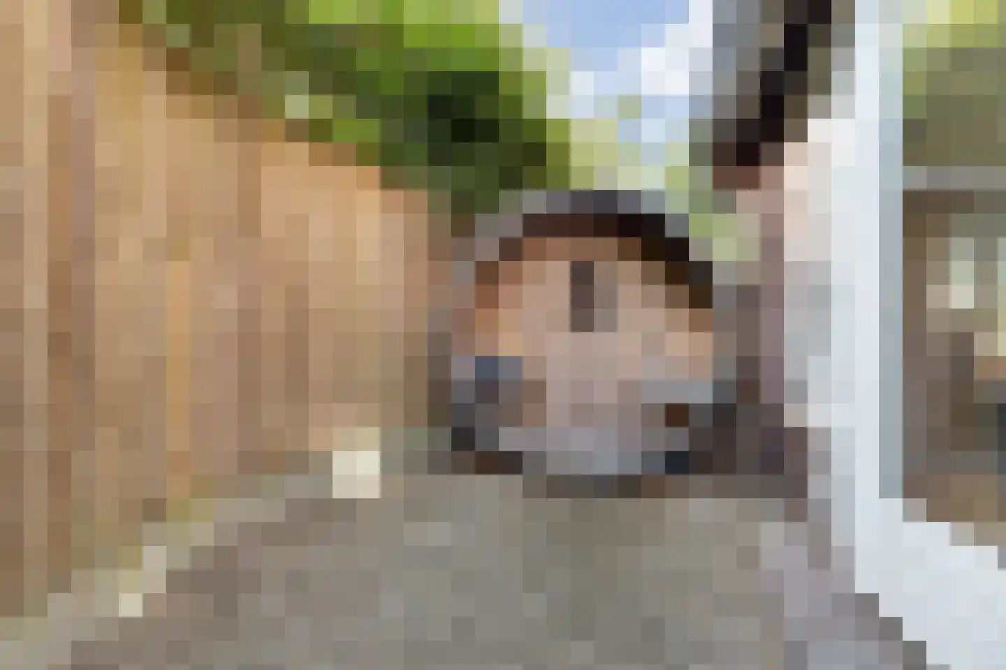 De Brug 20 Zundert thumbnail 16