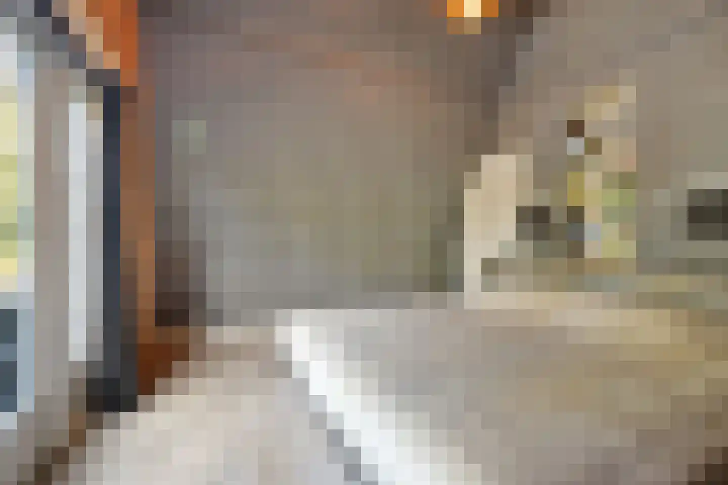 De Brug 20 Zundert thumbnail 26