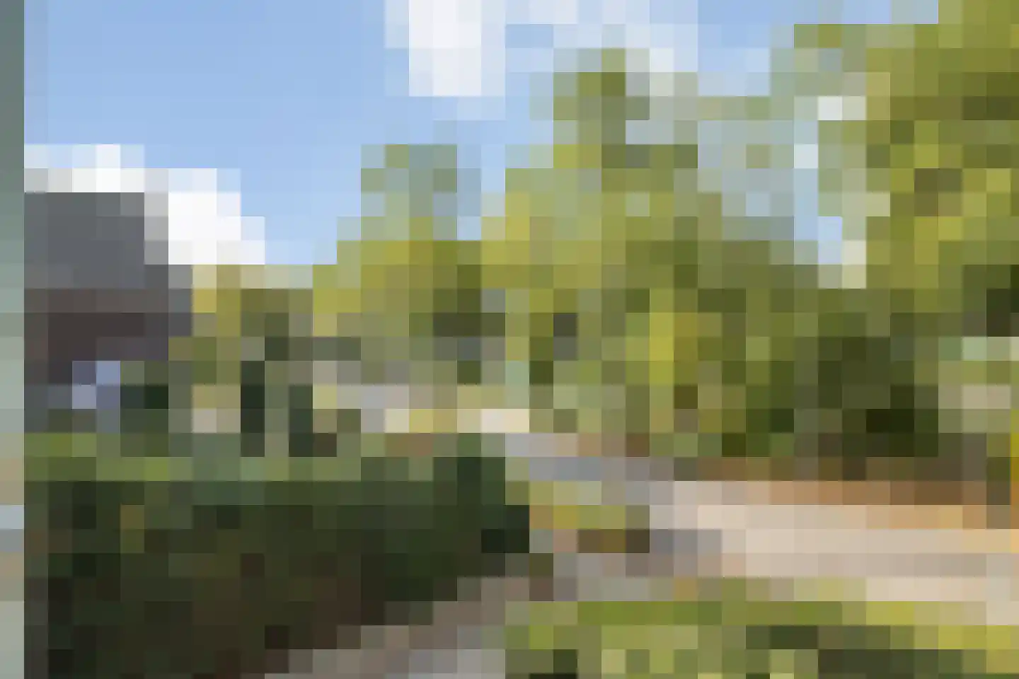 De Brug 20 Zundert thumbnail 28