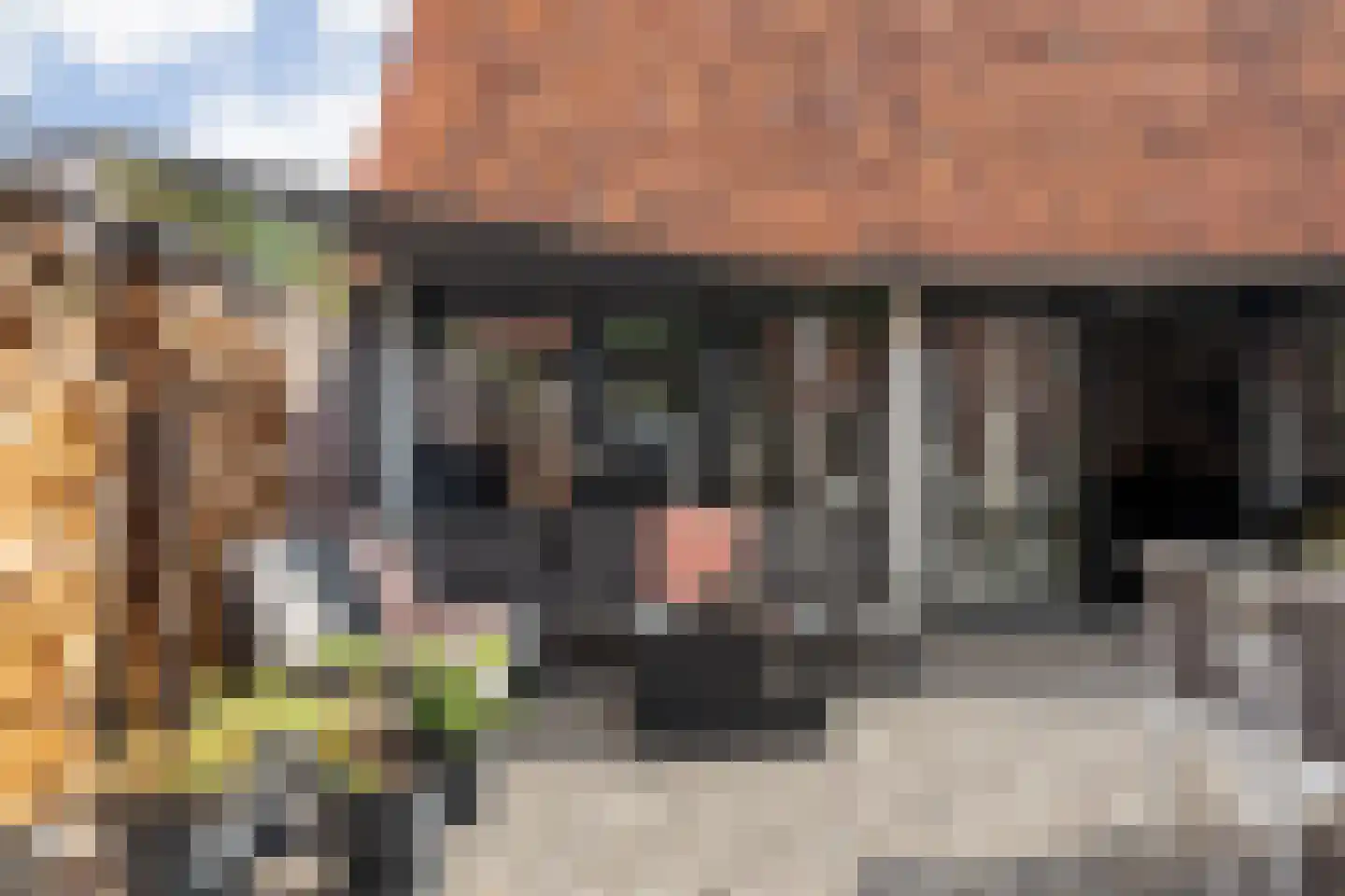 De Brug 20 Zundert thumbnail 42