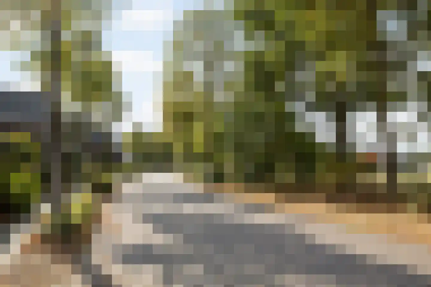 De Brug 20 Zundert thumbnail 5