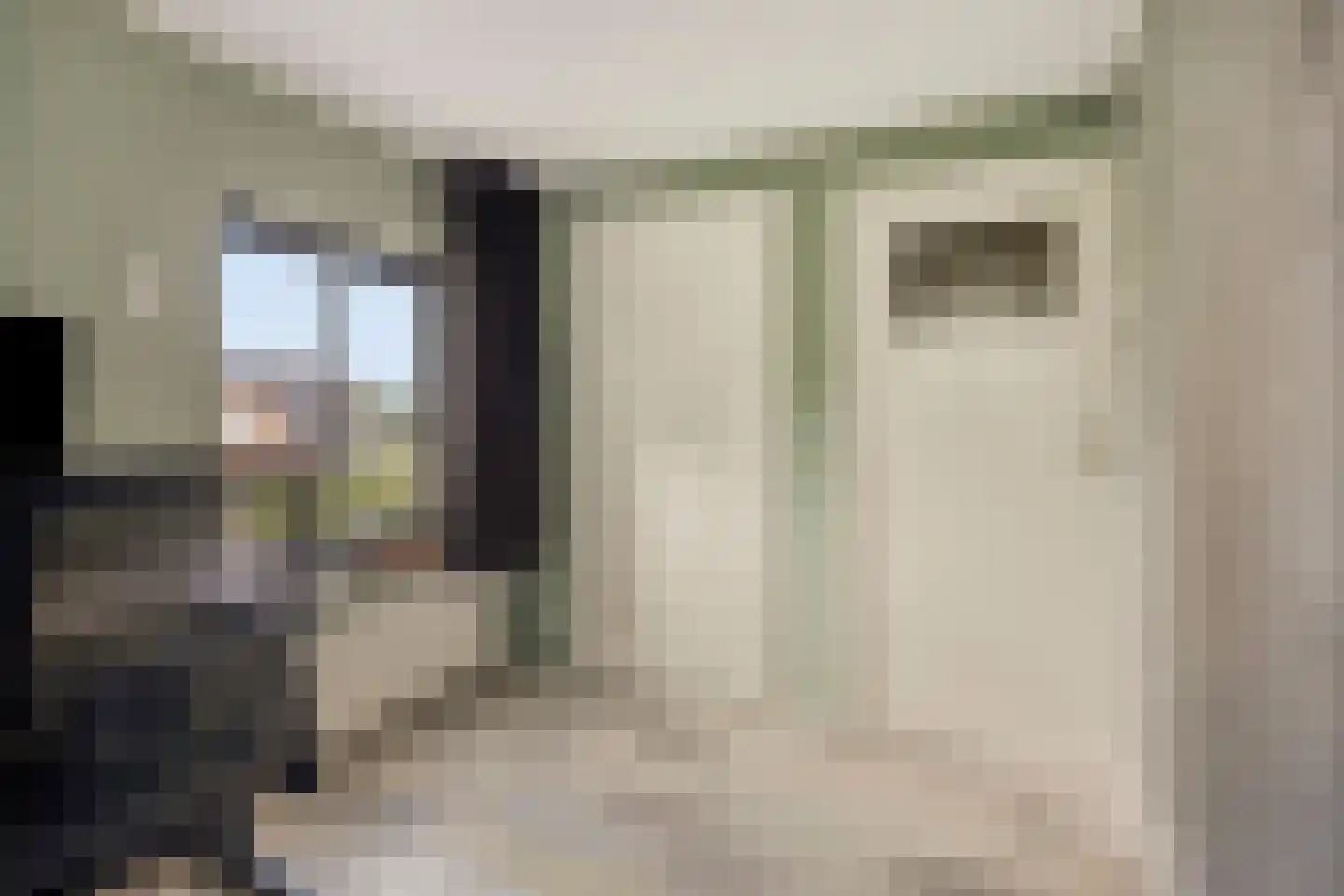 De Brug 28 Zundert thumbnail 35