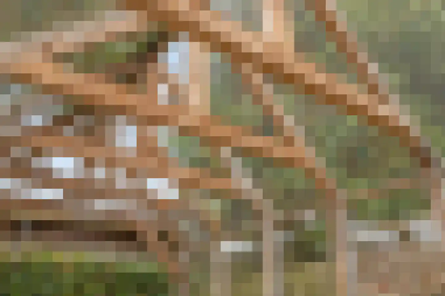 De Brug 28 Zundert thumbnail 43