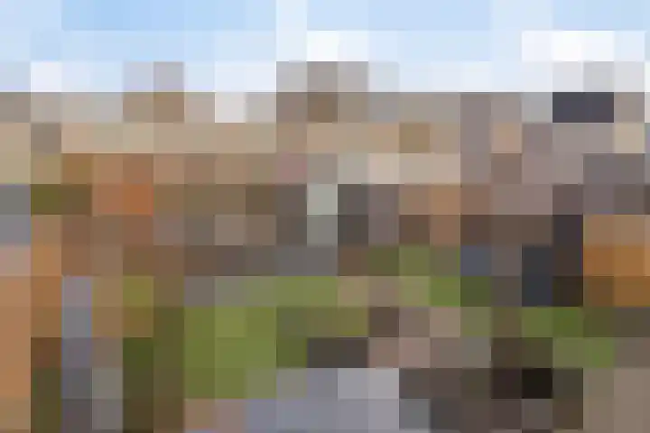 De Brug 34 Apeldoorn thumbnail 25