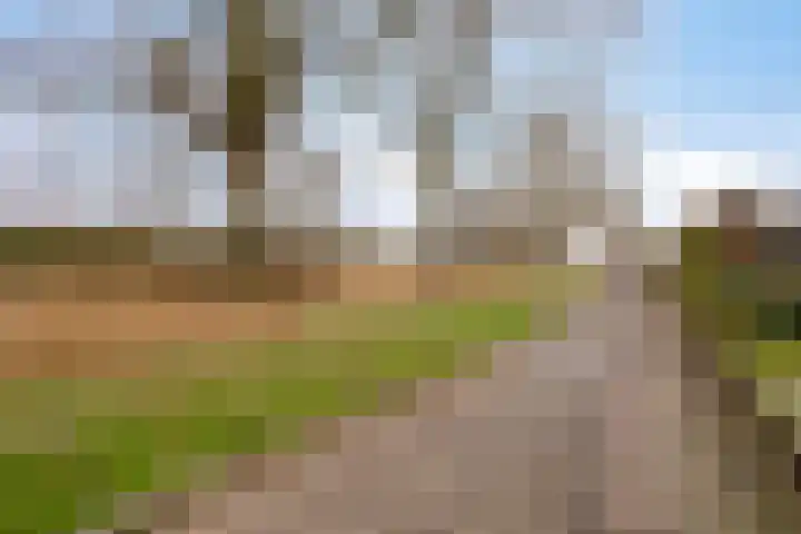 De Brug 34 Apeldoorn thumbnail 33