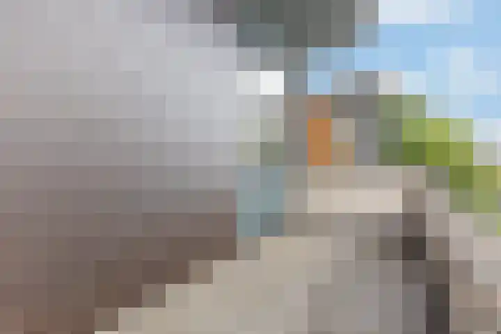 De Brug 50 Apeldoorn thumbnail 27