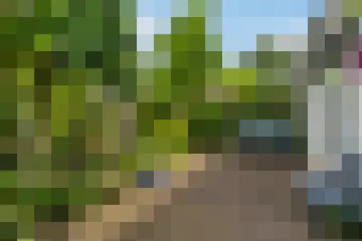 De Brug 50 Apeldoorn thumbnail 33