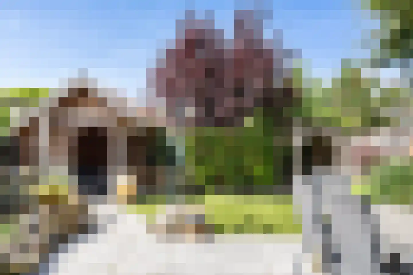 De Brug 56 Apeldoorn thumbnail 16