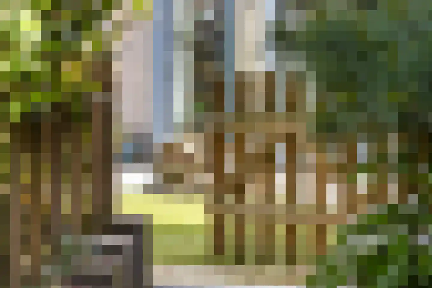 De Brug 56 Apeldoorn thumbnail 18