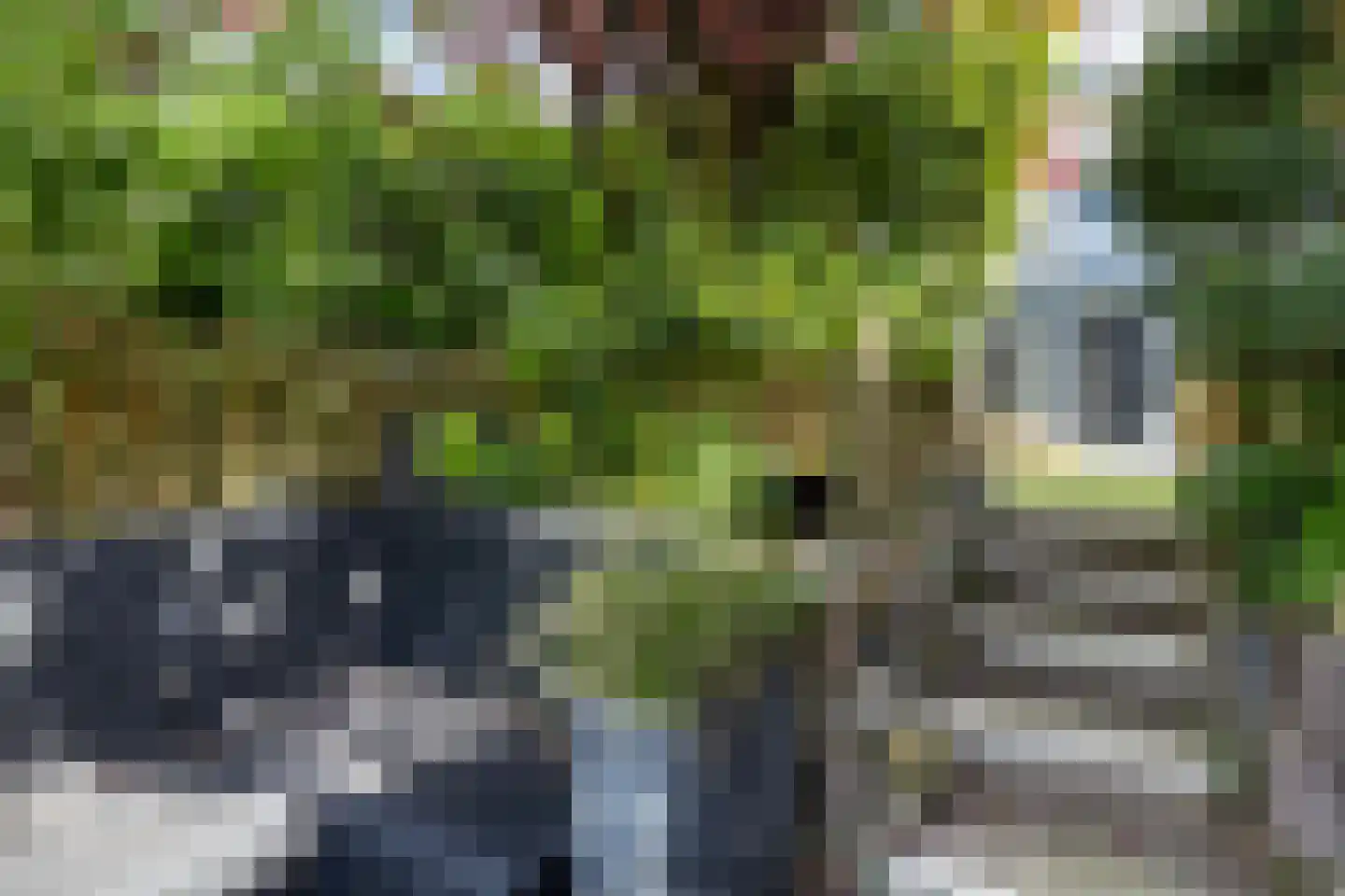 De Brug 56 Apeldoorn thumbnail 19