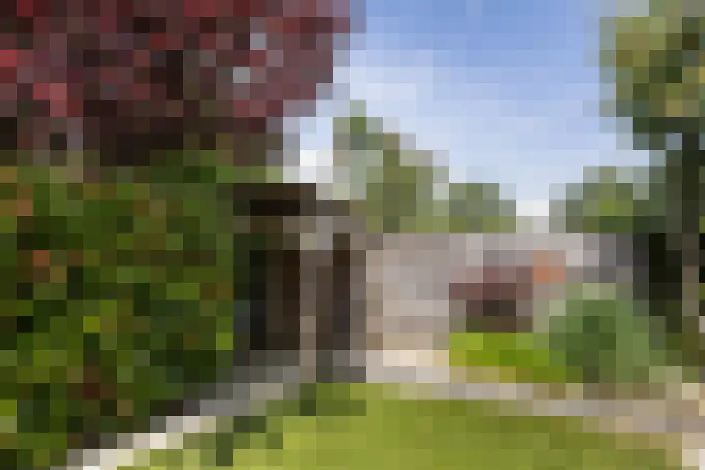 De Brug 56 Apeldoorn thumbnail 23