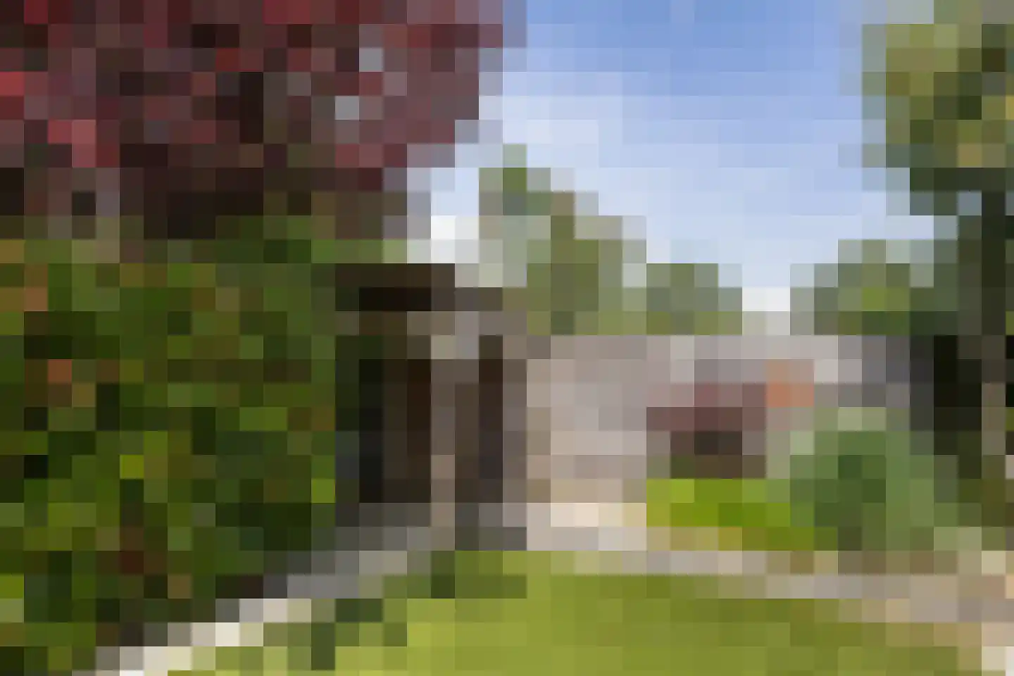 De Brug 56 Apeldoorn thumbnail 23