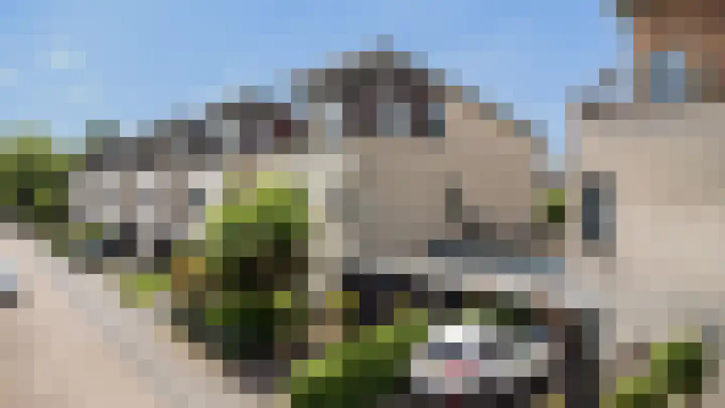 De Brug 56 Apeldoorn thumbnail 46