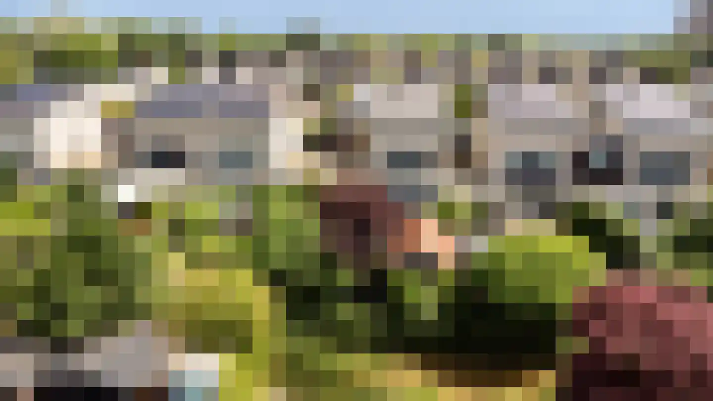 De Brug 56 Apeldoorn thumbnail 48