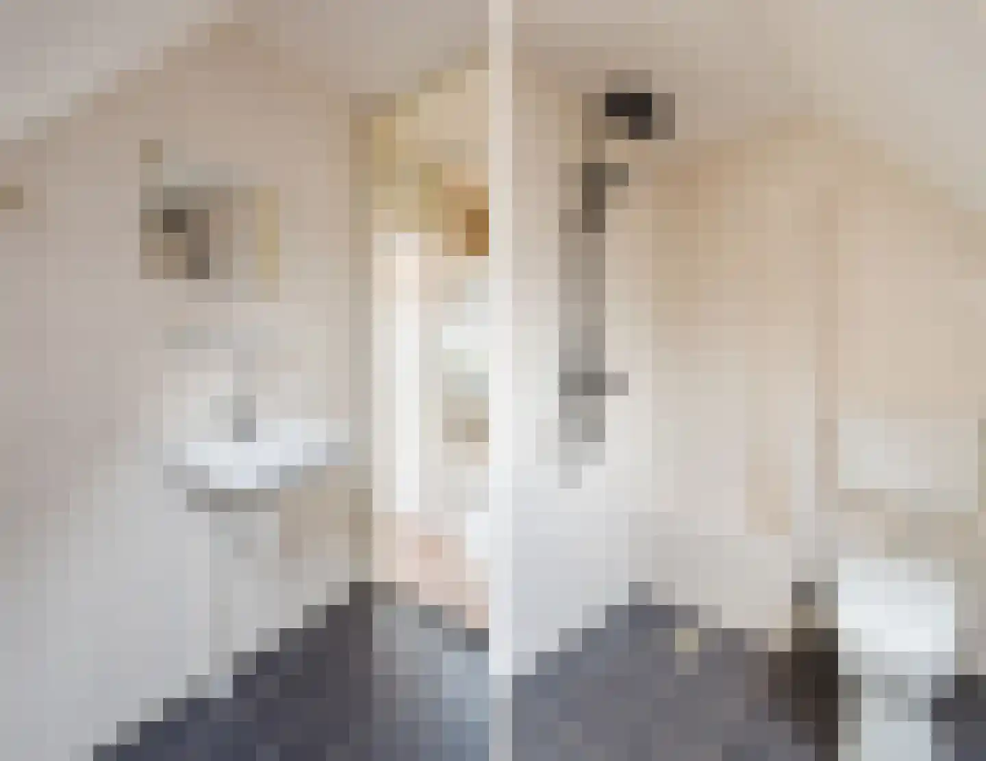 De Bruijnhof 9 Nijkerkerveen thumbnail 24