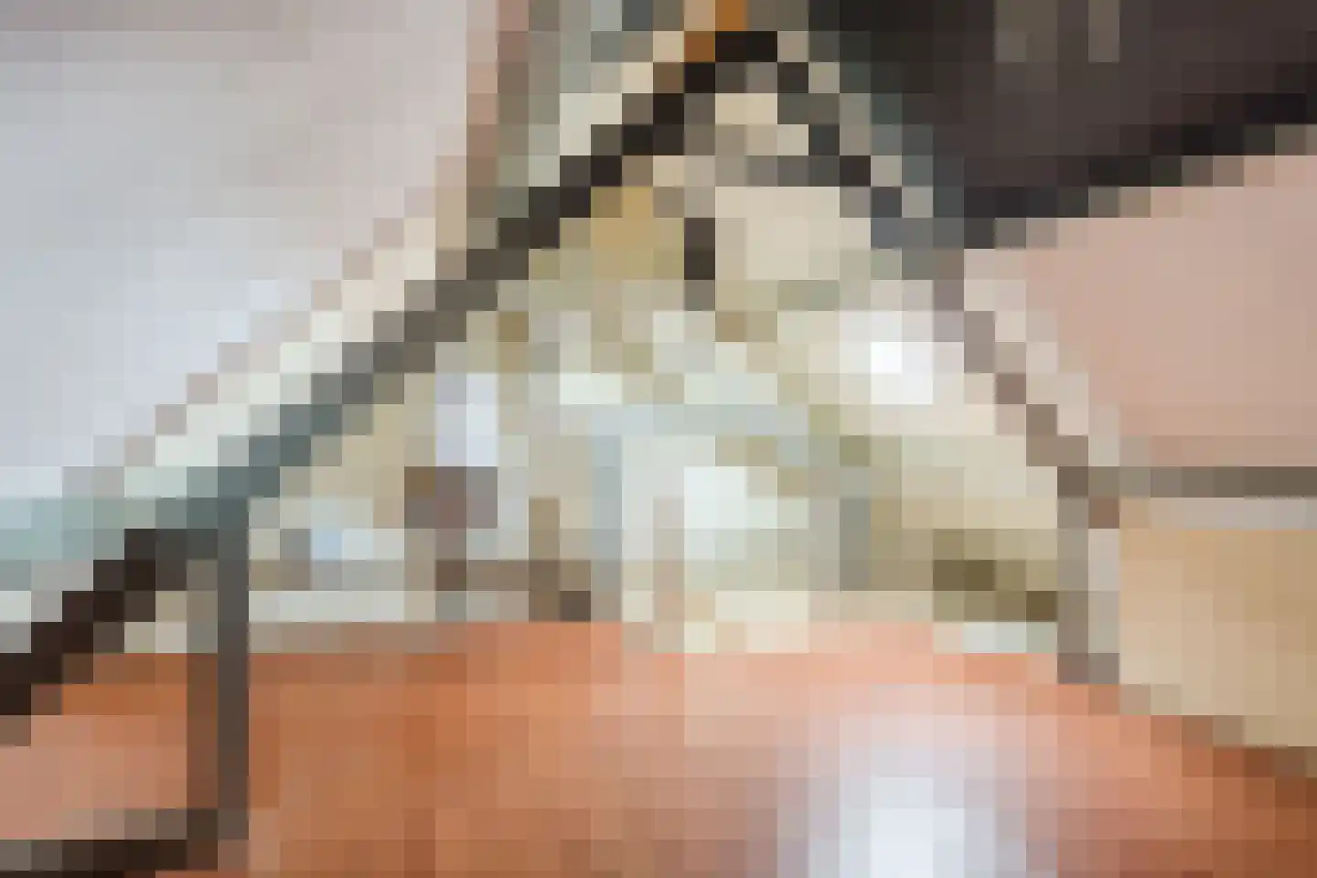 De Bruijnhof 9 Nijkerkerveen thumbnail 28