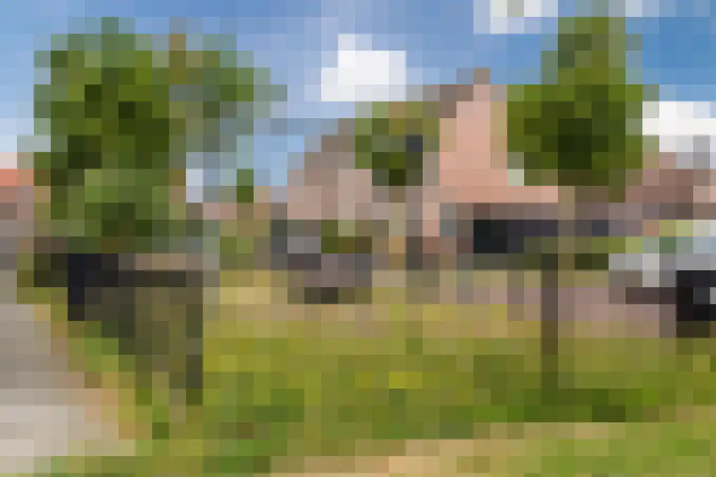 De Bruijnhof 9 Nijkerkerveen thumbnail 33