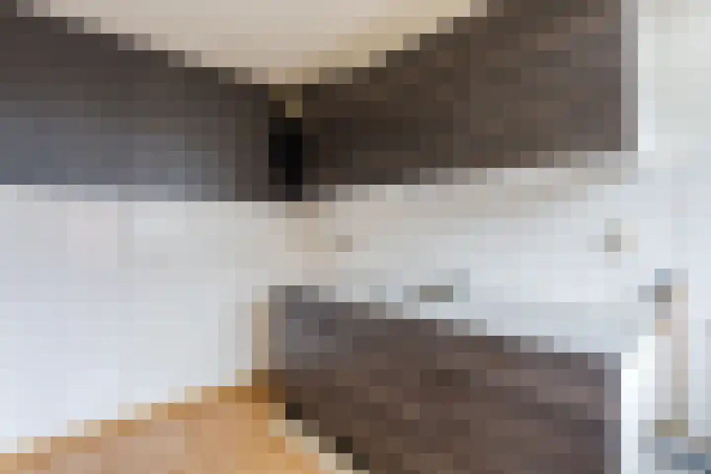 De Bruijnhof 9 Nijkerkerveen thumbnail 8