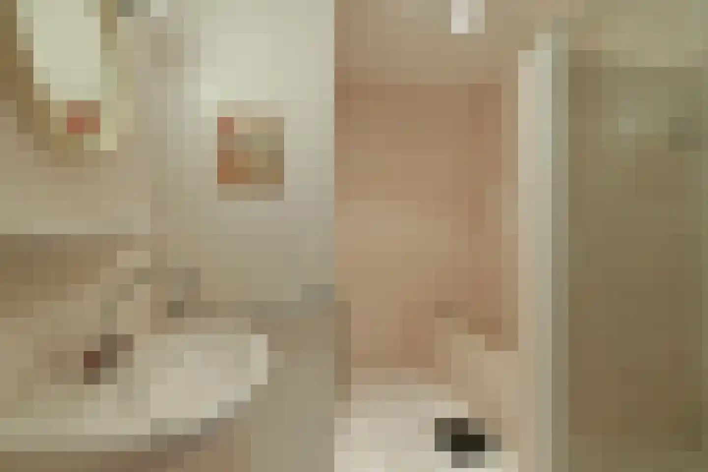 De Bruijnlaan 4 Arnhem thumbnail 25