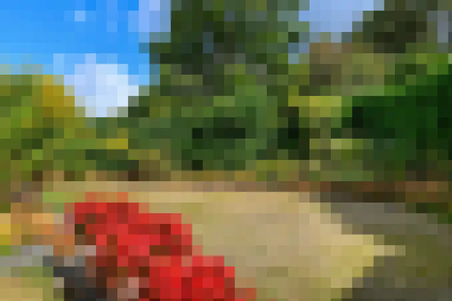 De Bruijnlaan 4 Arnhem thumbnail 34