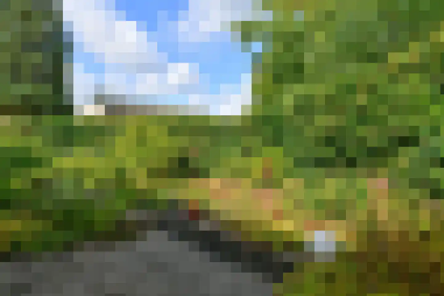 De Bruijnlaan 4 Arnhem thumbnail 36
