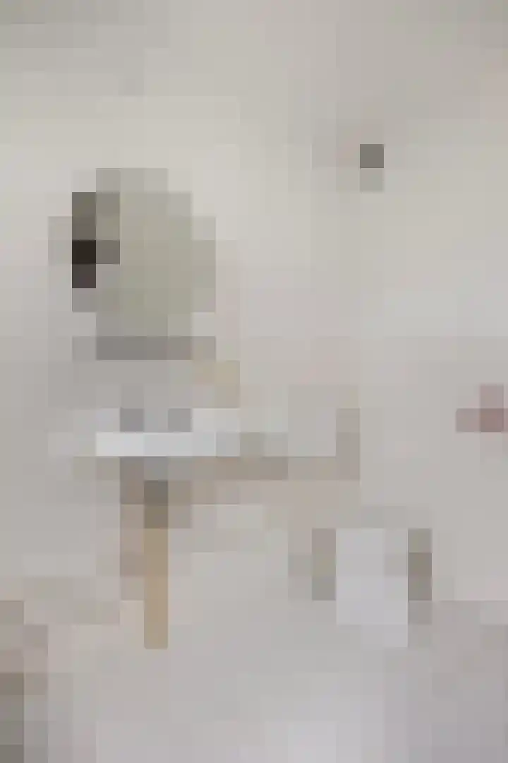 de Bruijnlaan 4 Hoogmade thumbnail 15