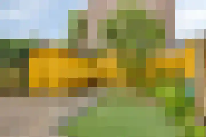 de Bruijnlaan 4 Hoogmade thumbnail 4