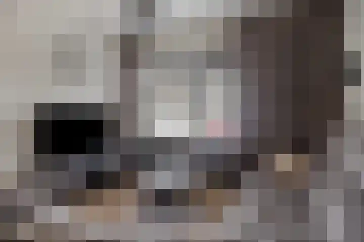 De Bruijnstraat 18 Etten-Leur thumbnail 5