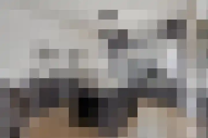 De Bruijnstraat 18 Etten-Leur thumbnail 7