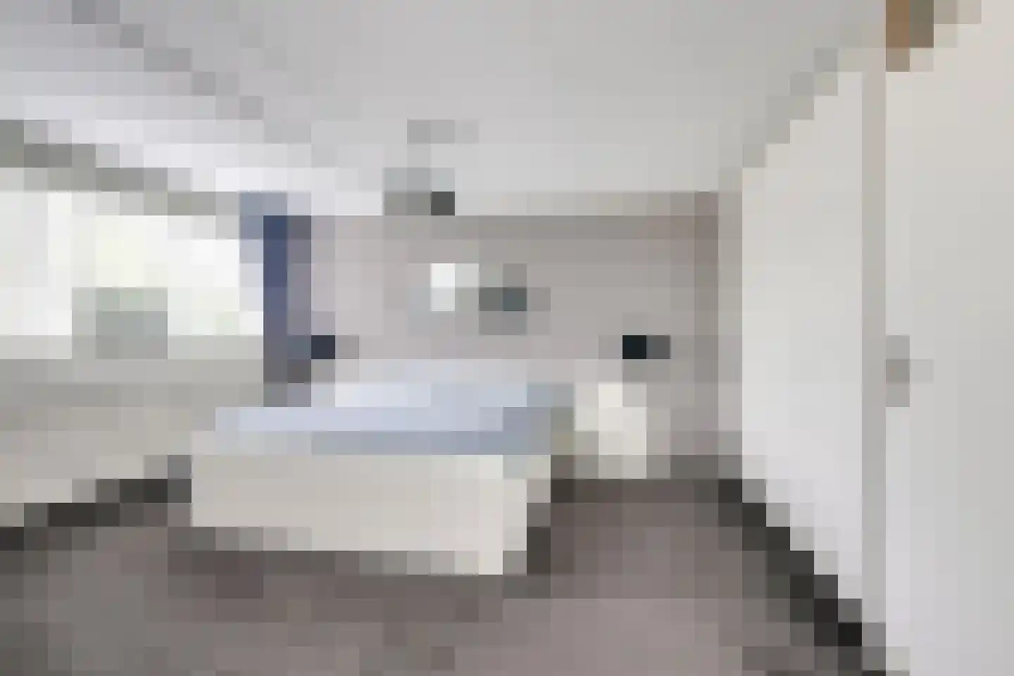 de Bruijnstraat 43 Nieuwegein thumbnail 31