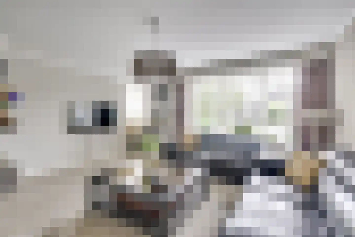 de Bruijnstraat 43 Nieuwegein thumbnail 6