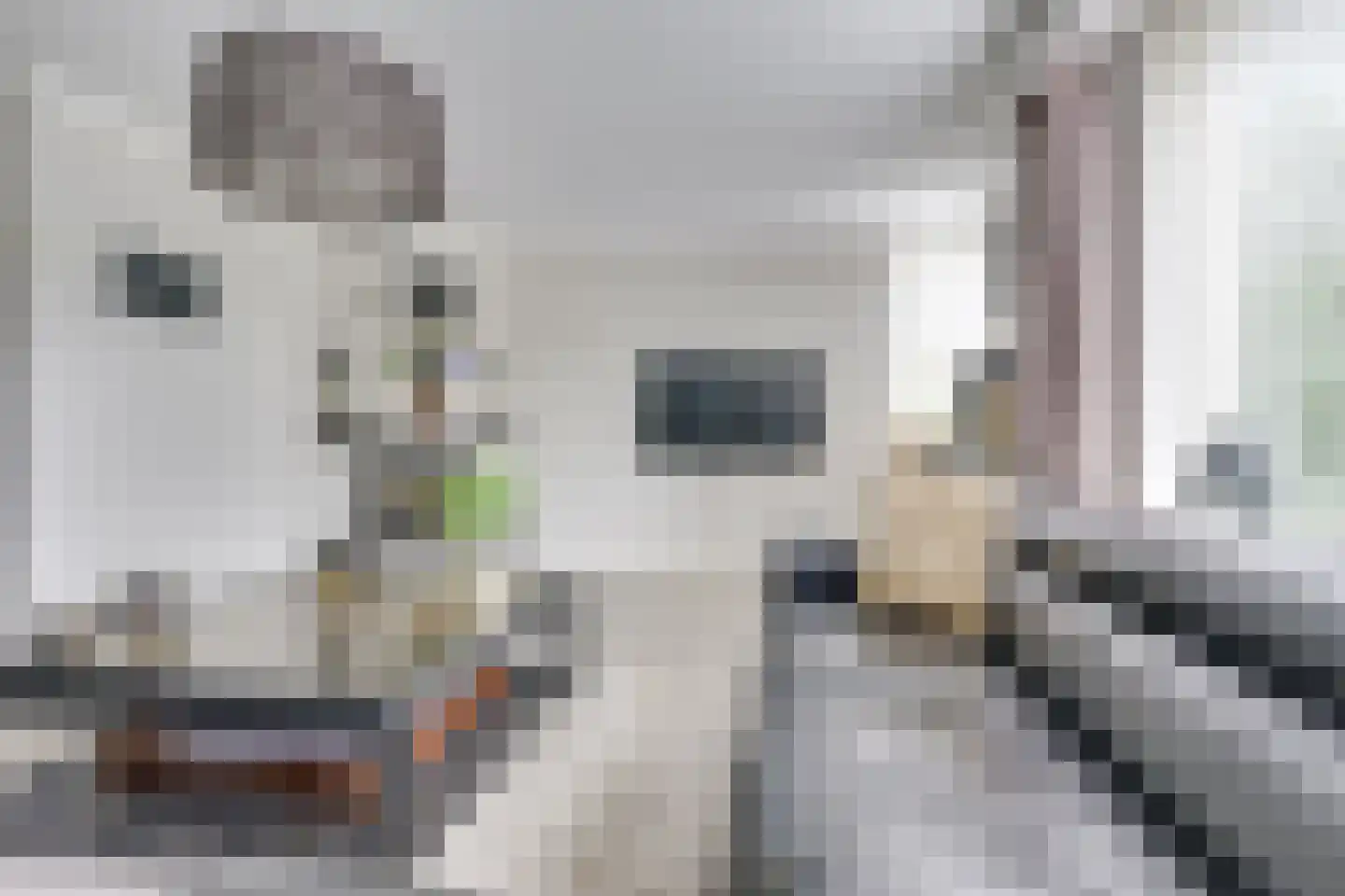 de Bruijnstraat 43 Nieuwegein thumbnail 7