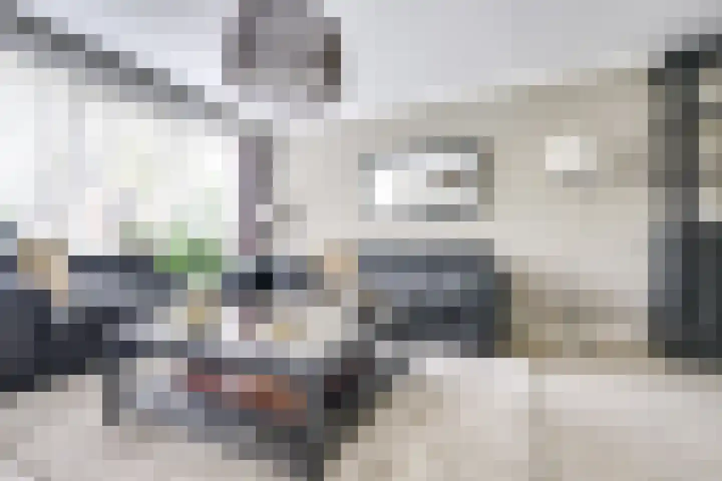 de Bruijnstraat 43 Nieuwegein thumbnail 8