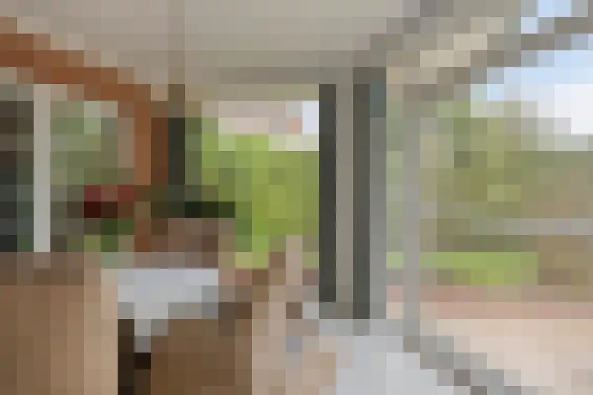 De Bruilweg 10 Ter Apel thumbnail 31