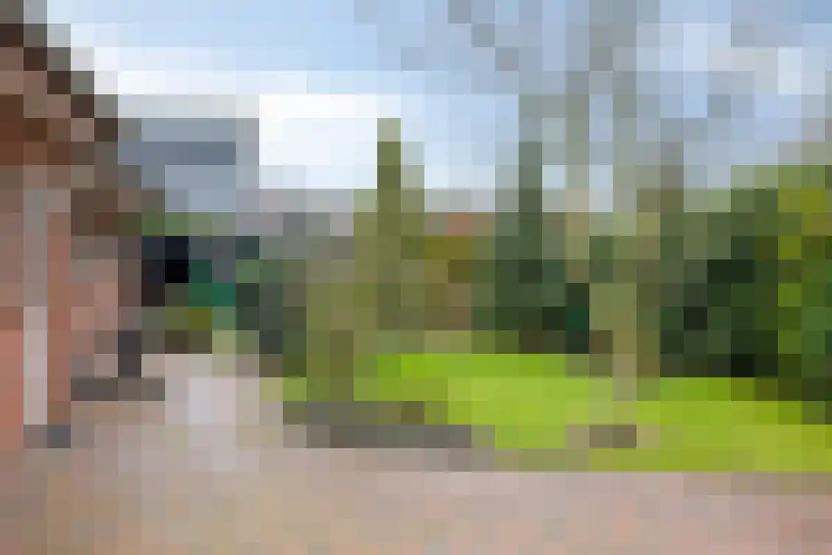 De Bruilweg 10 Ter Apel thumbnail 45