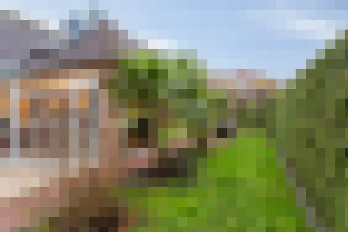 De Bruilweg 10 Ter Apel thumbnail 49