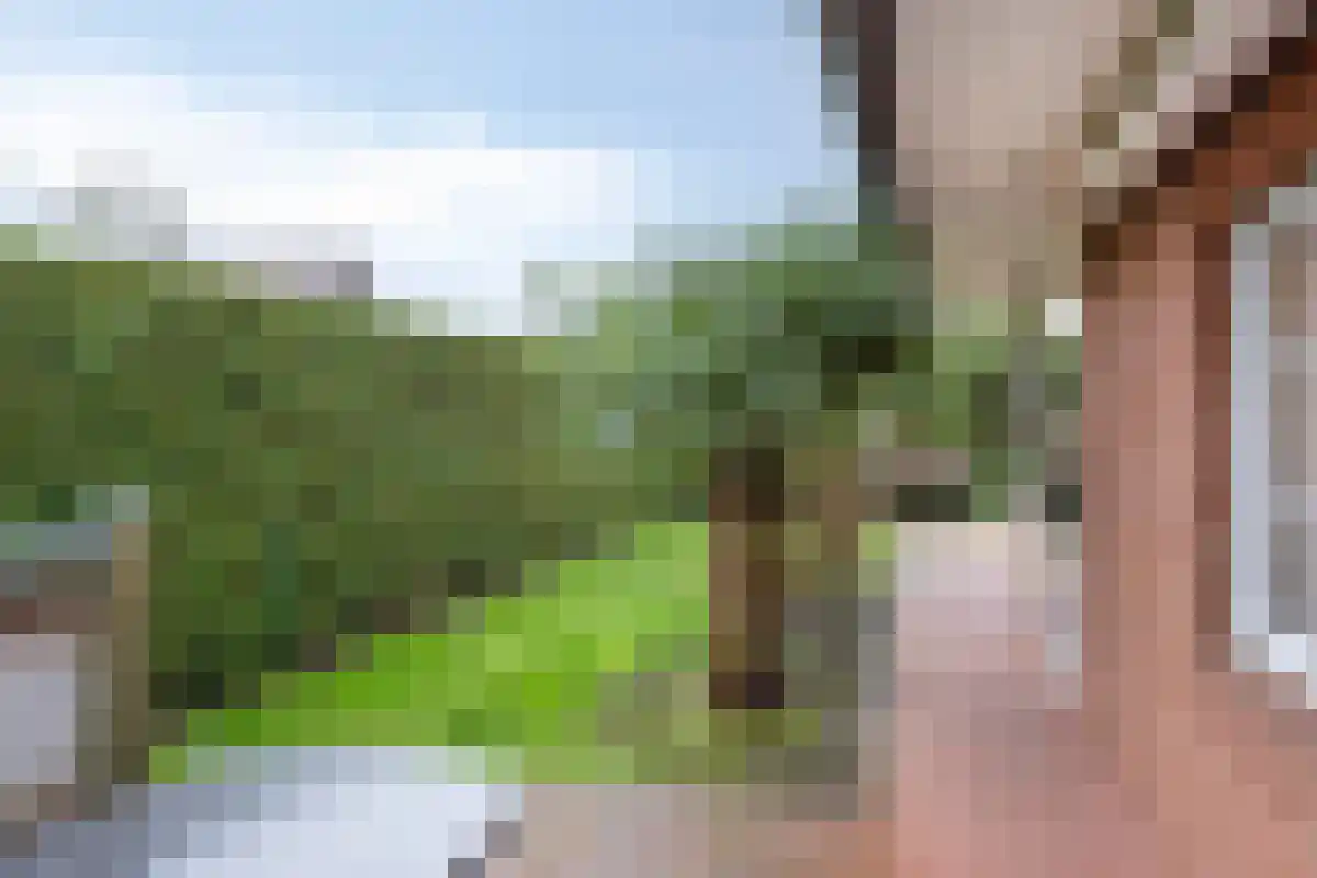 De Bruilweg 10 Ter Apel thumbnail 50