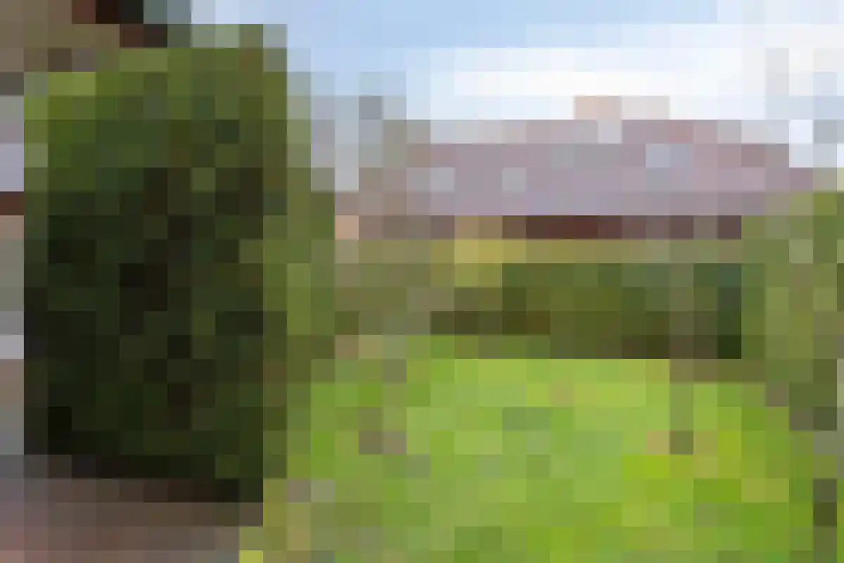 De Bruilweg 10 Ter Apel thumbnail 51